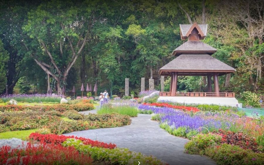 Chiang Mai: Doi Suthep National Park Leisure Hiking & Biking - Guides, group size, and what the support means