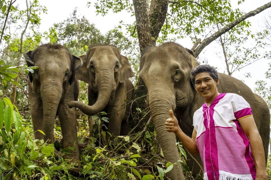 Chiang Mai: Elephant Dream Project Sanctuary - Half-Day - Who should book this elephant visit?