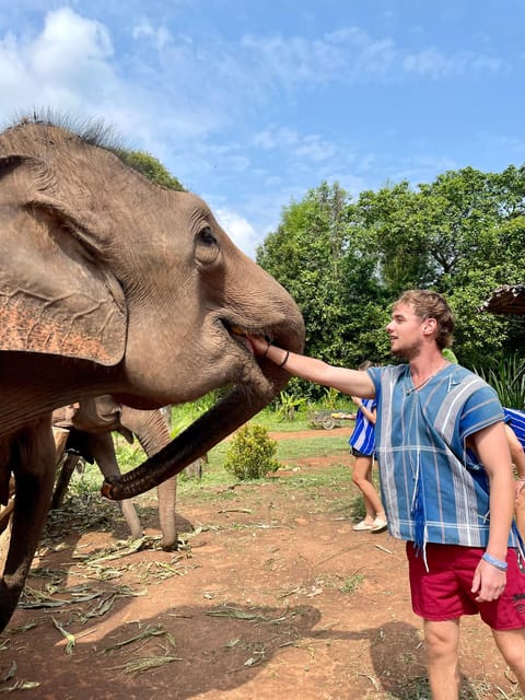 Chiang Mai: Elephant Dream Project Sanctuary - Half-Day - Why the Elephant Dream Project feels different