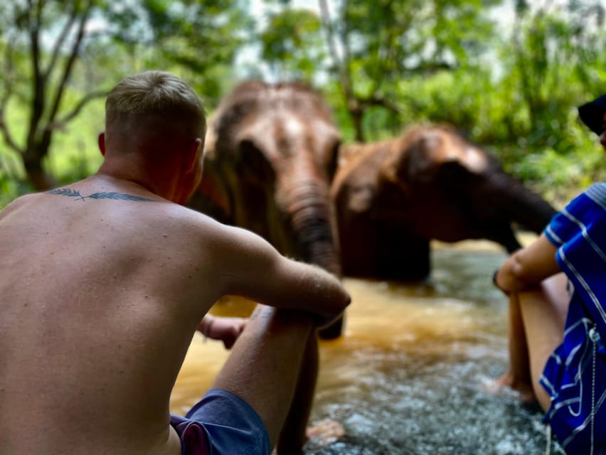 Chiang Mai: Elephant Dream Project Sanctuary - Half-Day - The early pickup and mountain drive