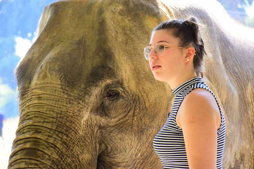 Chiang Mai: Elephant Feeding Experience - Meeting the elephants at Elephant Retirement Park