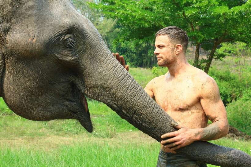 Chiang Mai: Elephant Feeding Experience - About 30 minutes beside the elephants