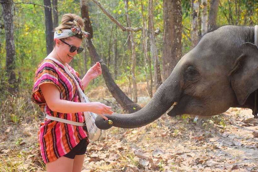 Chiang Mai: Elephant Feeding Experience - Preparing elephant food with the guide