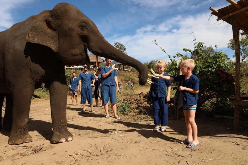 Chiang Mai: Elephant Sanctuary Bamboo Raft & Padthai Cooking - Why this Chiang Mai elephant day feels different