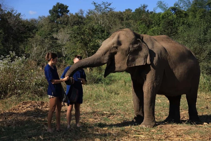Chiang Mai: Elephant Sanctuary Bamboo Raft & Padthai Cooking - The early drive from Chiang Mai