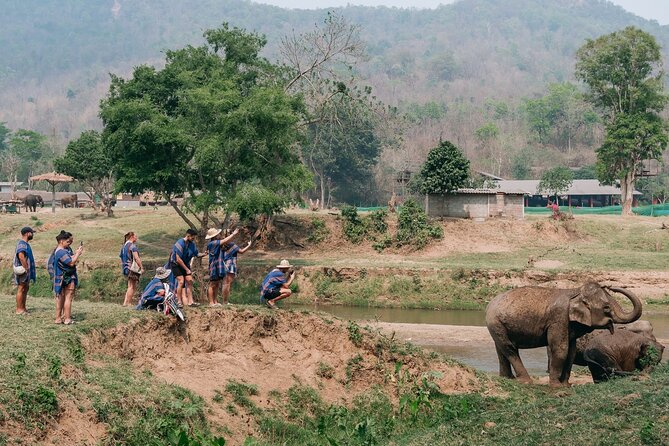 Chiang Mai Elephant Sanctuary, Bamboo Rafting and Waterfall Tour - Useful planning details for the day