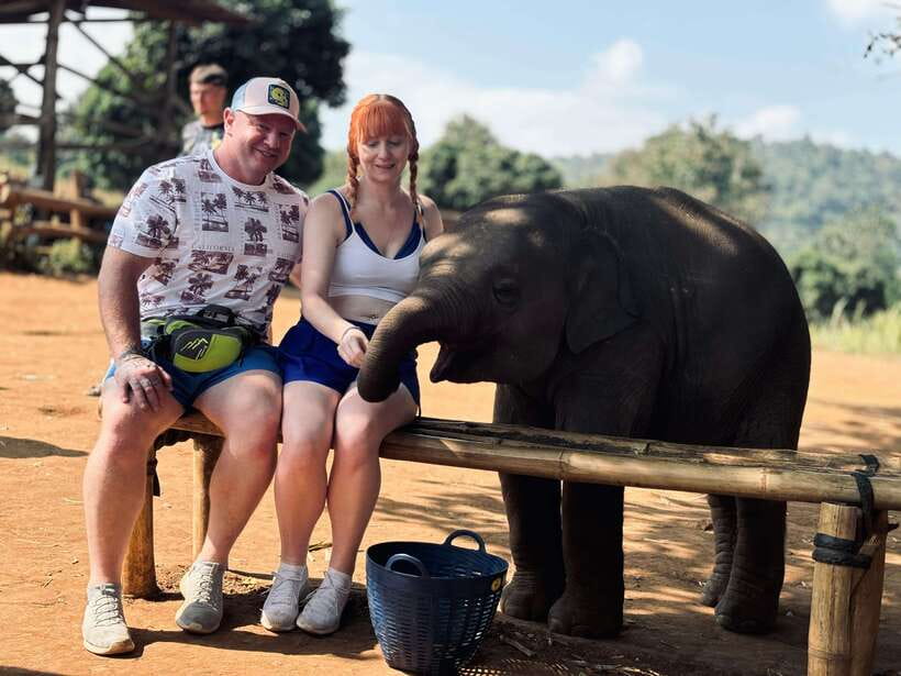 Chiang Mai: Elephant Sanctuary Feeding Program Half-Day Tour - Meet the team and learn elephant manners