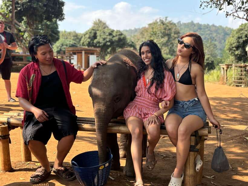 Chiang Mai: Elephant Sanctuary Feeding Program Half-Day Tour - The 1.5-hour journey south of Chiang Mai