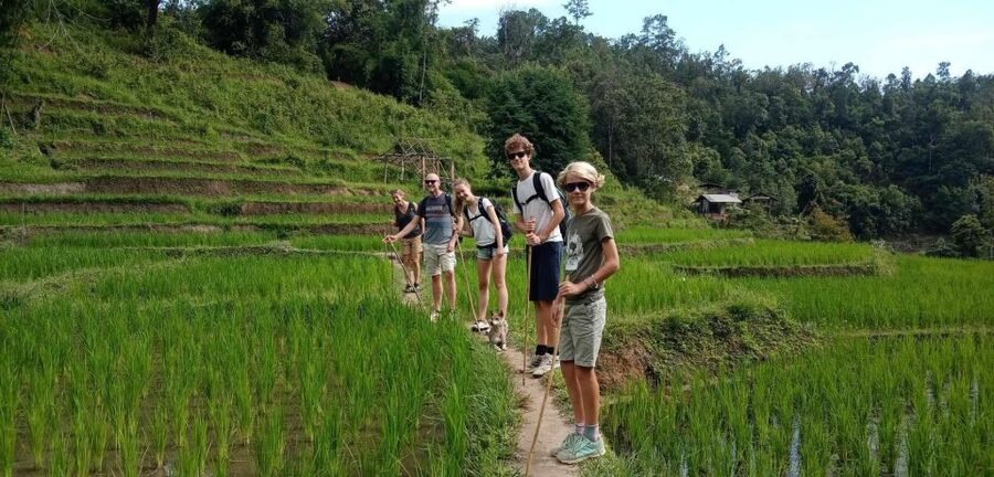 Chiang Mai: Elephant Sanctuary & Jungle Trek w/ Waterfall - What $61 Covers and What It Means