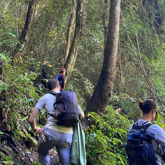 Chiang Mai: Elephant Sanctuary & Jungle Trek w/ Waterfall - The Best Fit for This Chiang Mai Day