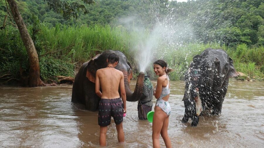 Chiang Mai: Elephant Sanctuary & Jungle Trek w/ Waterfall - Should You Book This Mae Wang Day Trip?