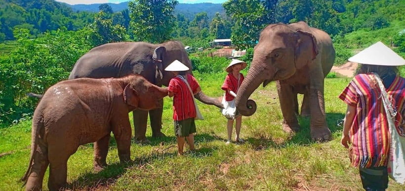 Chiang Mai: Elephant Sanctuary Local Hill Tribe Caretakers - Key points to know before booking
