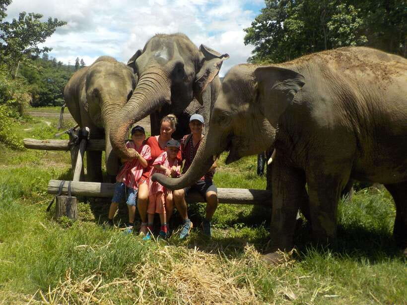 Chiang Mai: Elephant Sanctuary Local Hill Tribe Caretakers - Why this elephant visit feels different