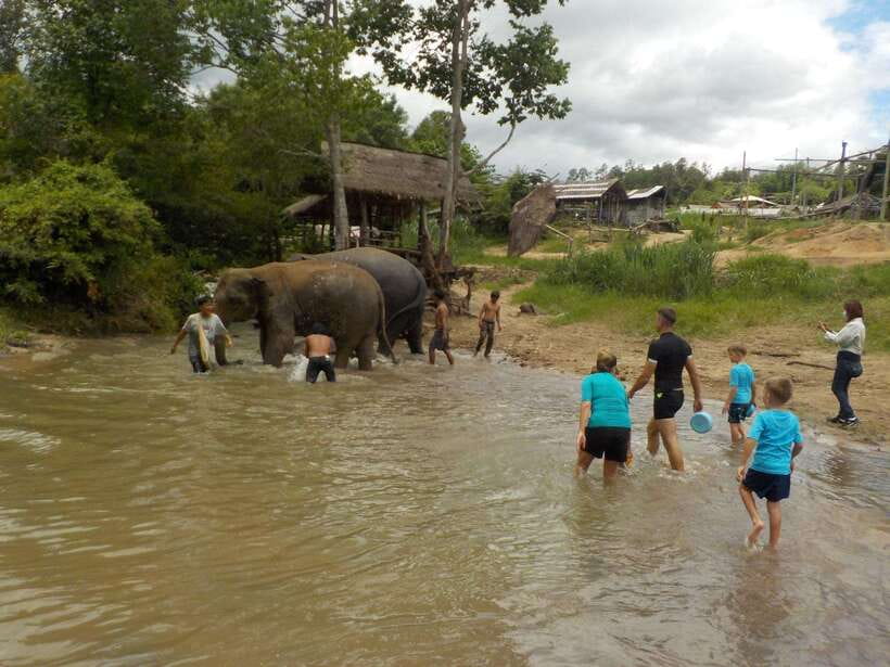 Chiang Mai: Elephant Sanctuary Local Hill Tribe Caretakers - What the no-ride policy means for your visit