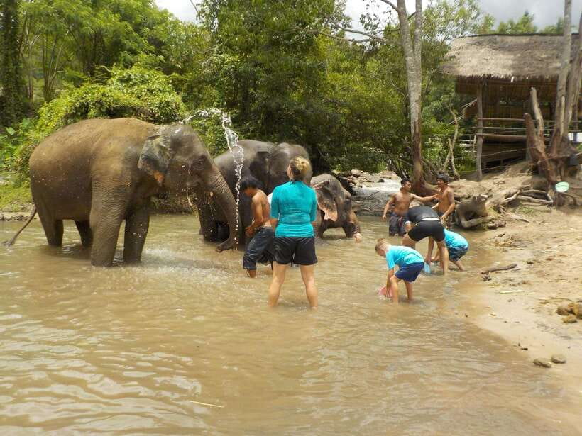 Chiang Mai: Elephant Sanctuary Local Hill Tribe Caretakers - Meeting Karen and Hmong communities