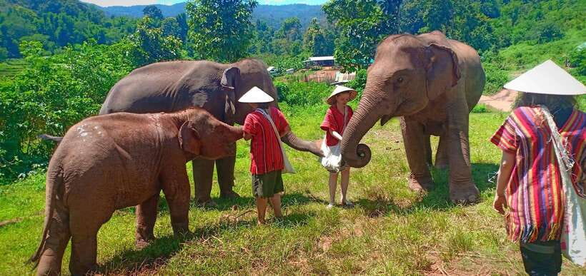 Chiang Mai: Elephant Sanctuary Local Hill Tribe Caretakers - Is $51 good value?