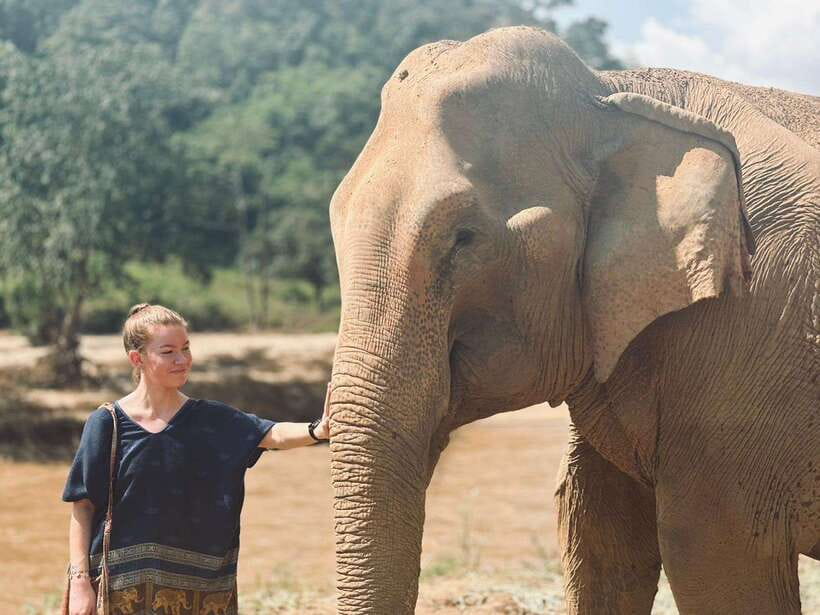 Chiang Mai: Elephant Sanctuary, Long Neck & Sticky Waterfall - Key points at a glance
