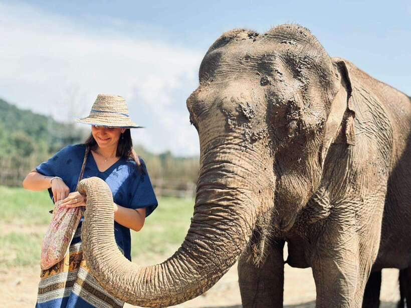 Chiang Mai: Elephant Sanctuary, Long Neck & Sticky Waterfall - Who should book this experience