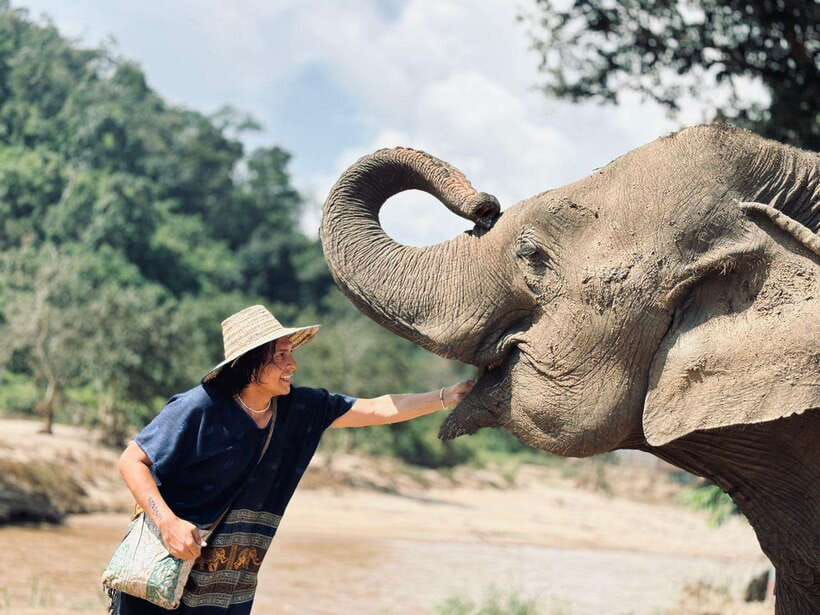 Chiang Mai: Elephant Sanctuary, Long Neck & Sticky Waterfall - Why this day trip works so well from Chiang Mai