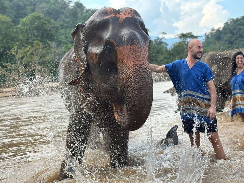 Chiang Mai: Elephant Sanctuary, Long Neck & Sticky Waterfall - Walking through the forest and into the river