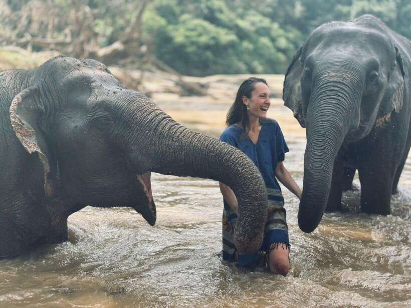 Chiang Mai: Elephant Sanctuary, Long Neck & Sticky Waterfall - Lunch with Thai dishes and fresh fruit