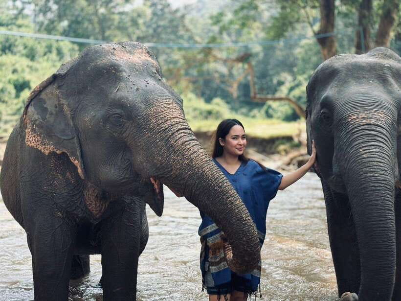 Chiang Mai: Elephant Sanctuary, Long Neck & Sticky Waterfall - The road to the elephant sanctuary