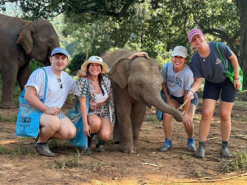 Chiang Mai: Elephant Sanctuary, Waterfall & Bamboo Rafting - A full day from Chiang Mai to the Mae Wang Valley