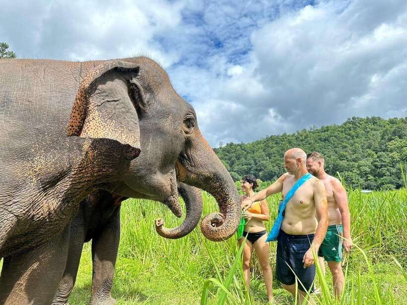 Chiang Mai: Elephant Sanctuary, Waterfall & Bamboo Rafting - Bathing and making food for the elephants