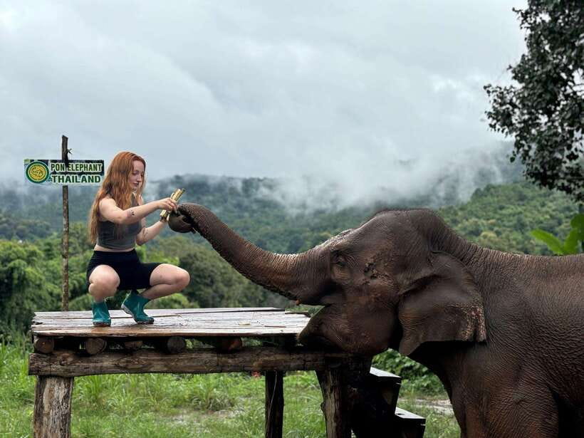 Chiang Mai: Elephant Sanctuary, Waterfall & Bamboo Rafting - Lunch in the jungle