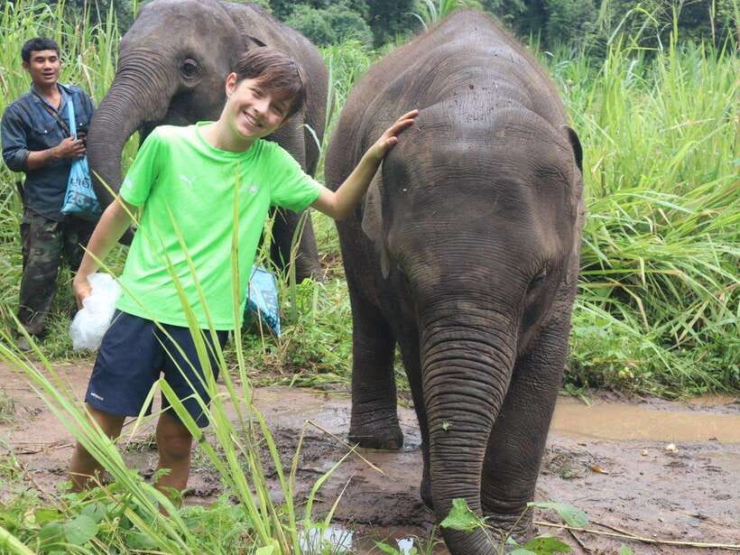 Chiang Mai: Elephant Sanctuary, Waterfall & Bamboo Rafting - Who should book this day trip?