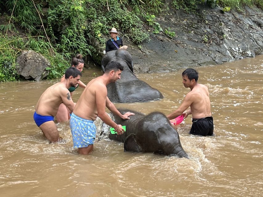 Chiang Mai: Elephant Sanctuary & Waterfall Group Tour - What to pack for a smoother day