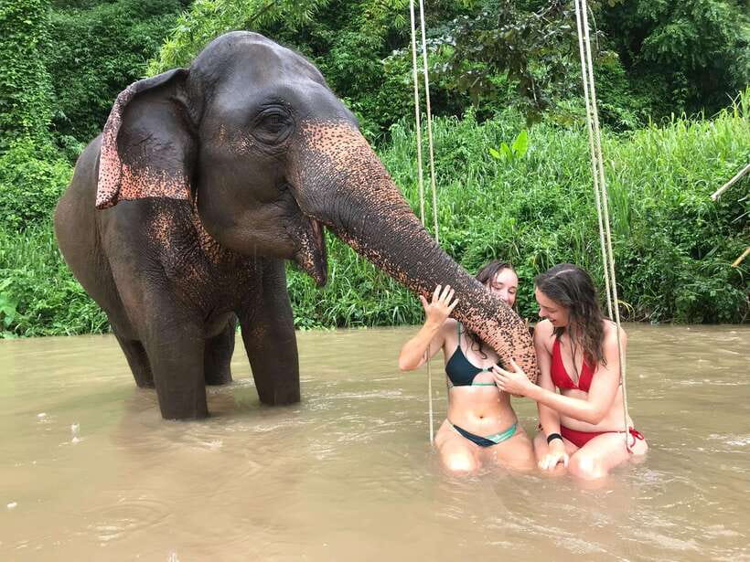 Chiang Mai: Elephant Sanctuary & Waterfall Group Tour - From Chiang Mai to Mae Wang in 80 minutes