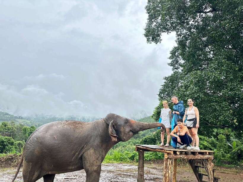 Chiang Mai: Elephant Sanctuary & Waterfall Group Tour - Thai lunch, fruit, and a change of pace