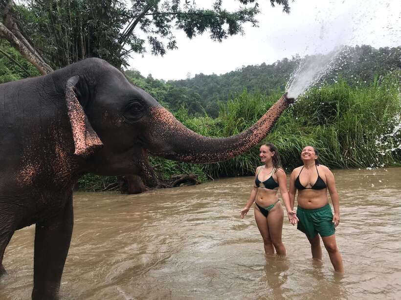 Chiang Mai: Elephant Sanctuary & Waterfall Group Tour - What the $50 price really covers