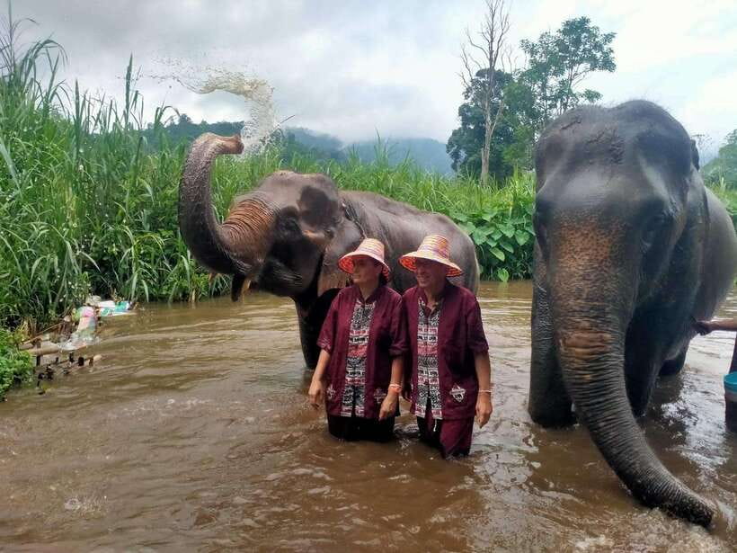 Chiang Mai: Elephants, Sticky Waterfalls, Market and Temple - Key points at a glance