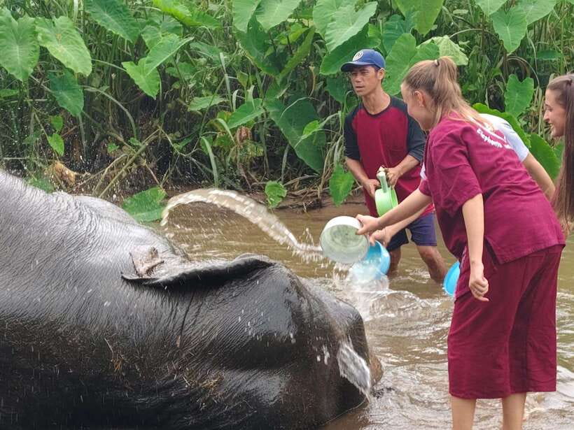 Chiang Mai: Elephants, Sticky Waterfalls, Market and Temple - Bua Thong Sticky Waterfalls: a wet and unusual climb