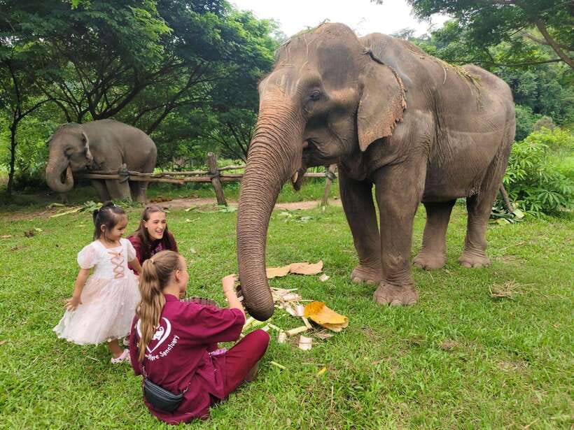 Chiang Mai: Elephants, Sticky Waterfalls, Market and Temple - ตลาดเจดีย์แม่ครัว and the taste of rural life