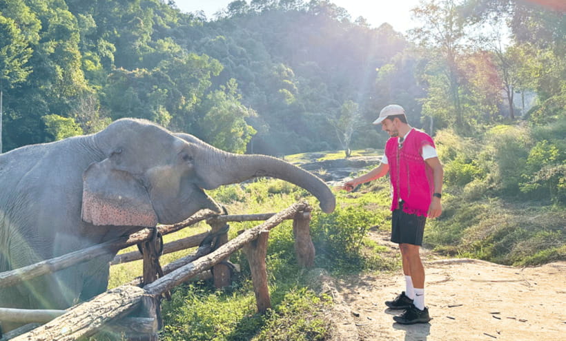 Chiang Mai: Ethical Half Day Elephant Sanctuary & Waterfall - Who will enjoy this elephant sanctuary most