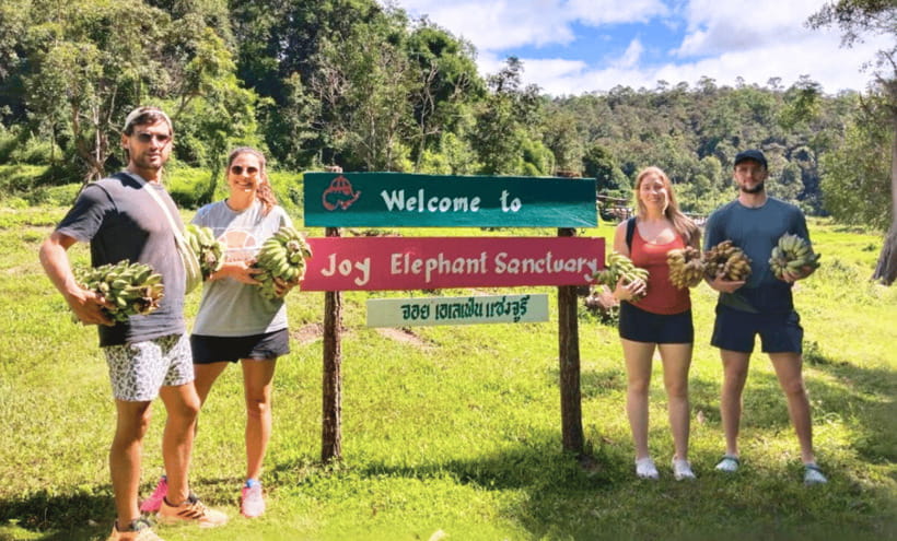 Chiang Mai: Ethical Half Day Elephant Sanctuary & Waterfall - Preparing food and meeting the elephants