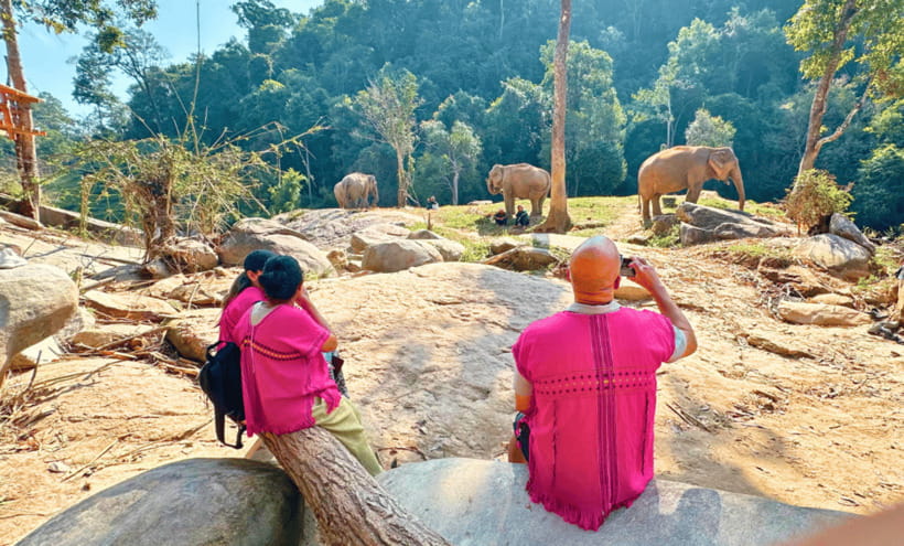 Chiang Mai: Ethical Half Day Elephant Sanctuary & Waterfall - Making a Thai herbal inhaler