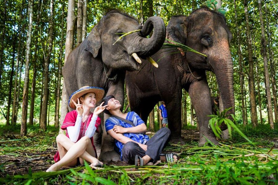 Chiang Mai: Full-Day Kerchor Elephant Eco Park Tour & Trek - Bamboo rafting on a shallow, muddy river