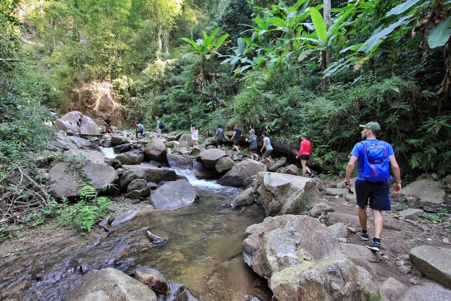 Chiang Mai: Guided Jungle and Waterfall Trek with Transfer - Booking details worth knowing