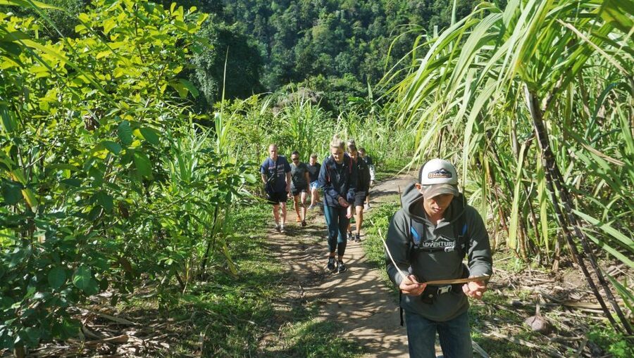 Chiang Mai: Guided Jungle and Waterfall Trek with Transfer - What to pack for comfort