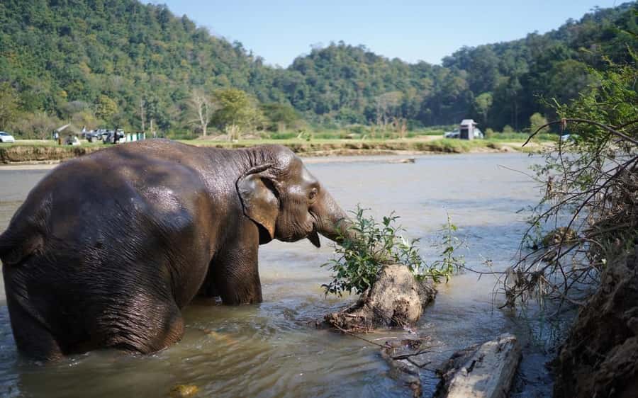 Chiang Mai Half-Day Adventure: River Tubing & Waterfall - Key points to know before you book
