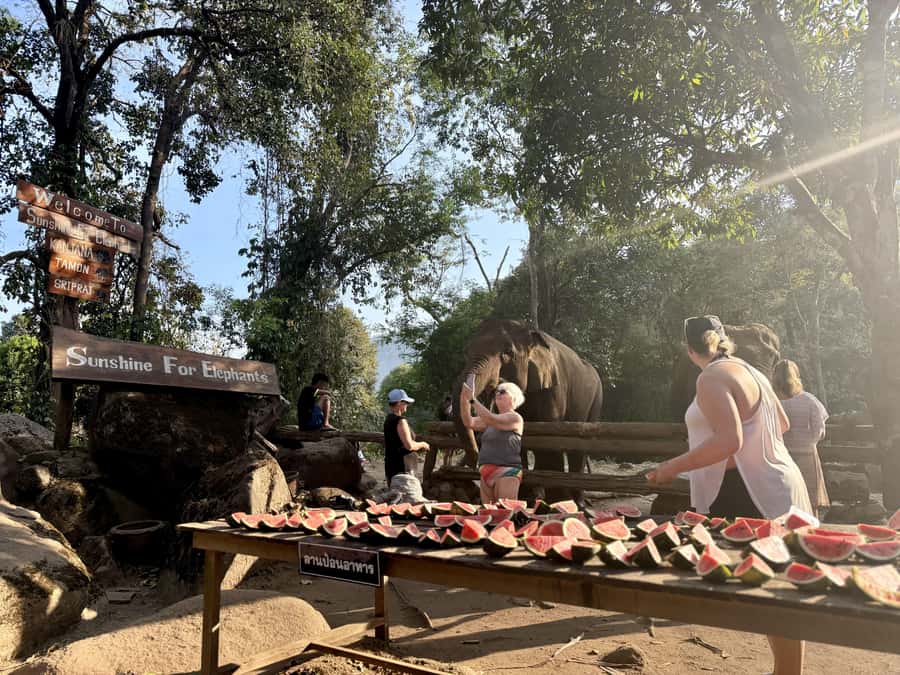 Chiang Mai Half-Day Adventure: River Tubing & Waterfall - The private villa upgrade