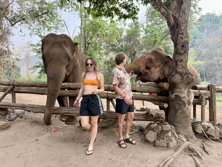 Chiang Mai Half-Day Adventure: River Tubing & Waterfall - Is the $62 price good value?