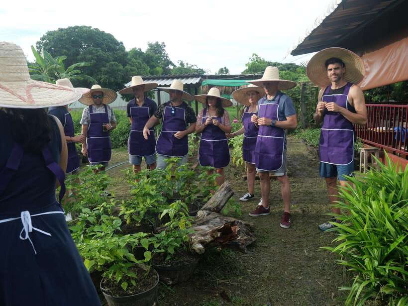 Chiang Mai: Half Day Cooking Class at Organic Farm - Why this Chiang Mai cooking class is good value