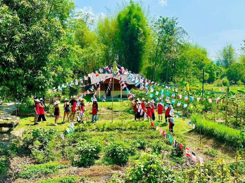 Chiang Mai: Half Day Cooking Class at Organic Farm - Choosing between the city garden and farm options
