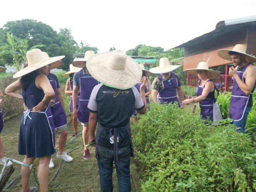 Chiang Mai: Half Day Cooking Class at Organic Farm - Timing, pickup, and meeting details
