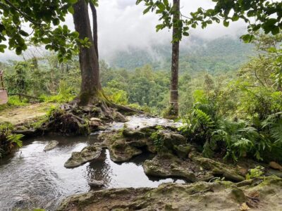 Chiang Mai Half Day Tour: Sticky Waterfall & Hotel Transfer